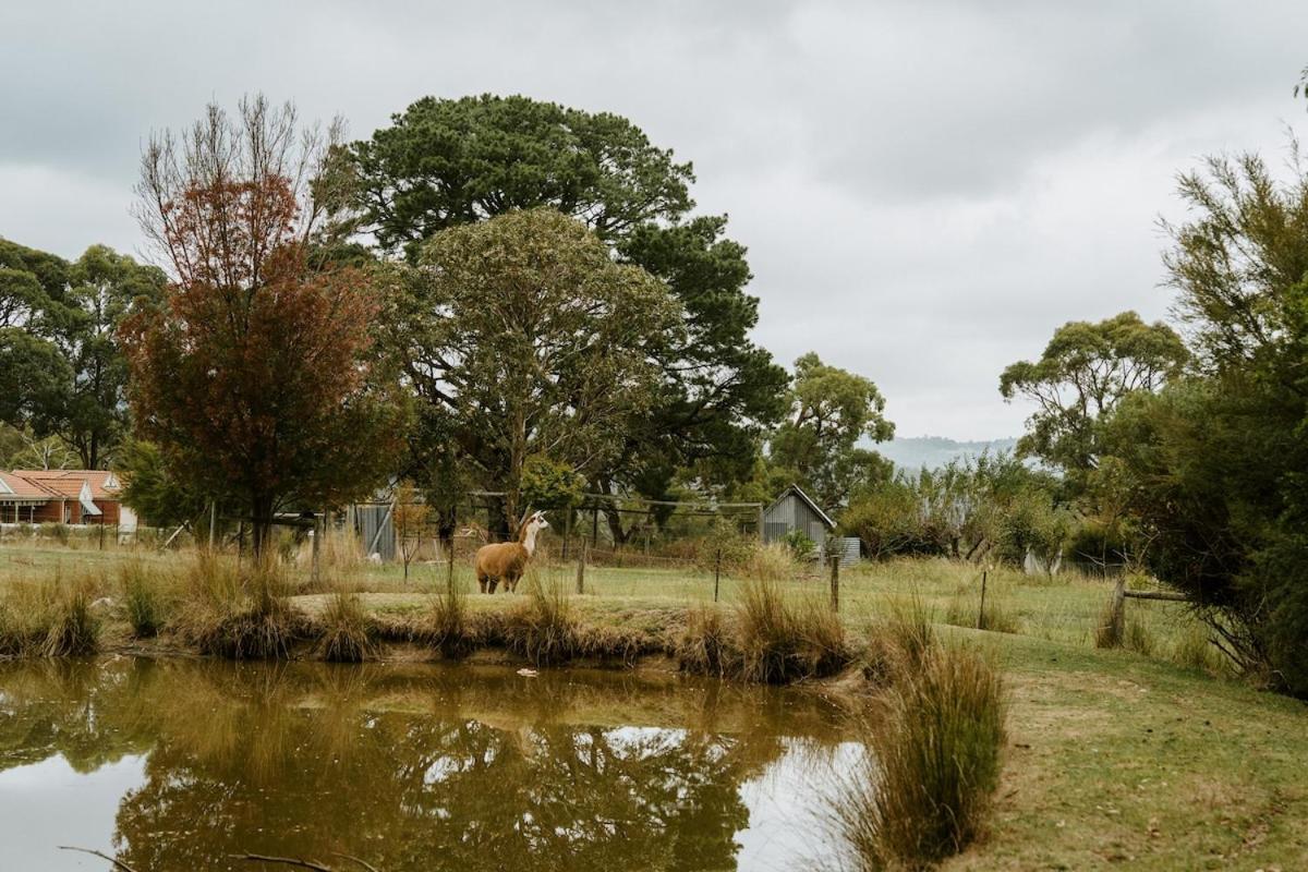 The Temple - Country Farm Retreat Βίλα Launching Place Εξωτερικό φωτογραφία