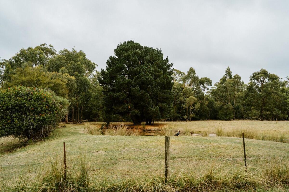 The Temple - Country Farm Retreat Βίλα Launching Place Εξωτερικό φωτογραφία